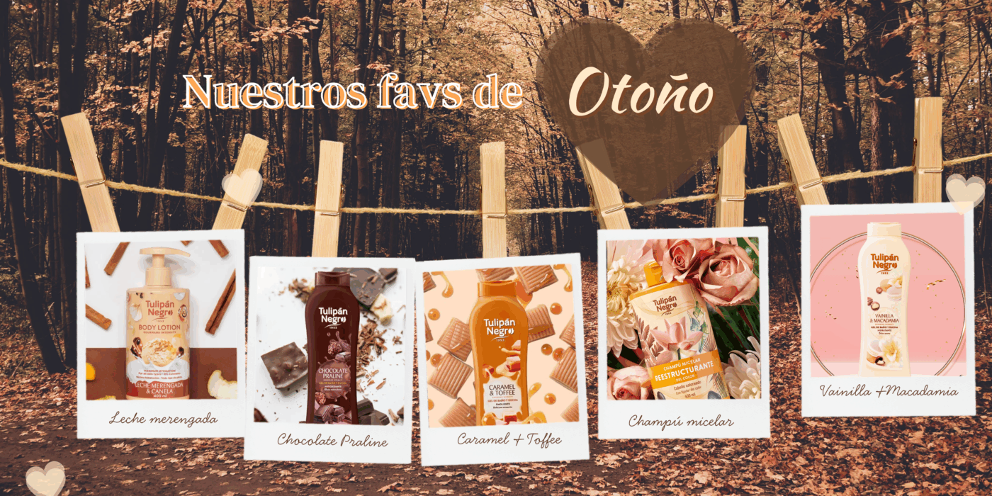 productos-otono-tulipan-negro