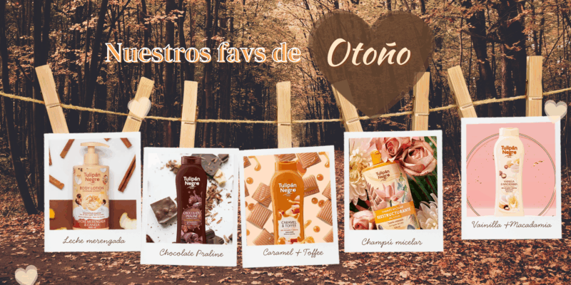 productos-otono-tulipan-negro