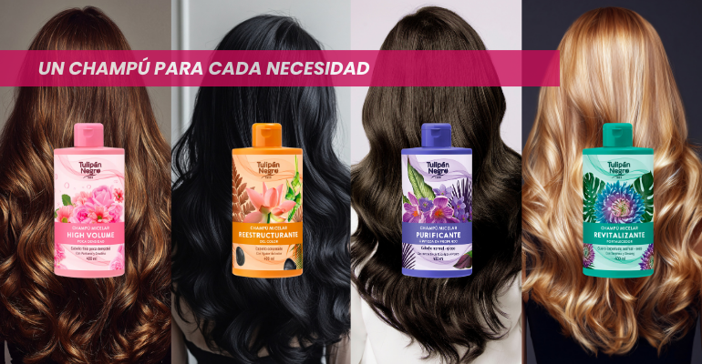 Un champu para cada necesidad