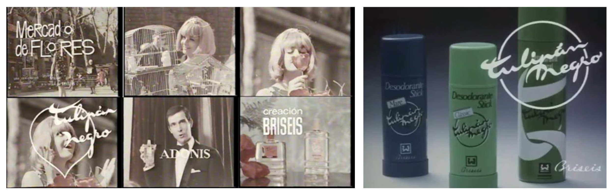 anuncio tulipan negro